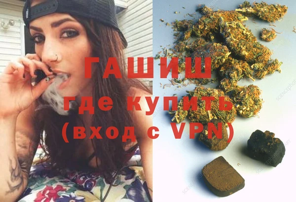 индика Заводоуковск