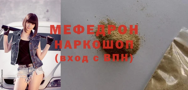индика Заводоуковск