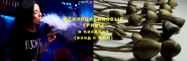мяу мяу мука Заволжск