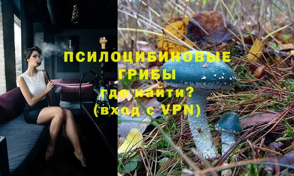 кокаин премиум Дмитриев