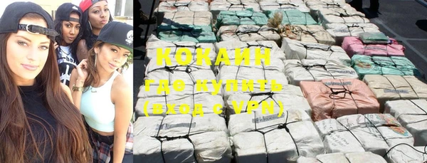 индика Заводоуковск