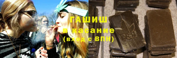 индика Заводоуковск