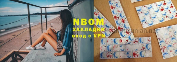 индика Заводоуковск