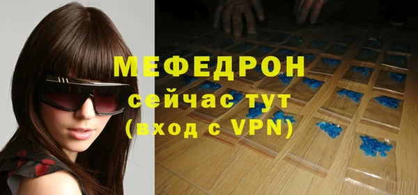 индика Заводоуковск