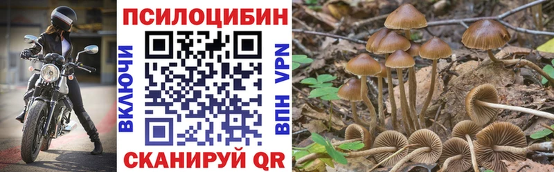 Галлюциногенные грибы ЛСД  Купить где  Медногорск 