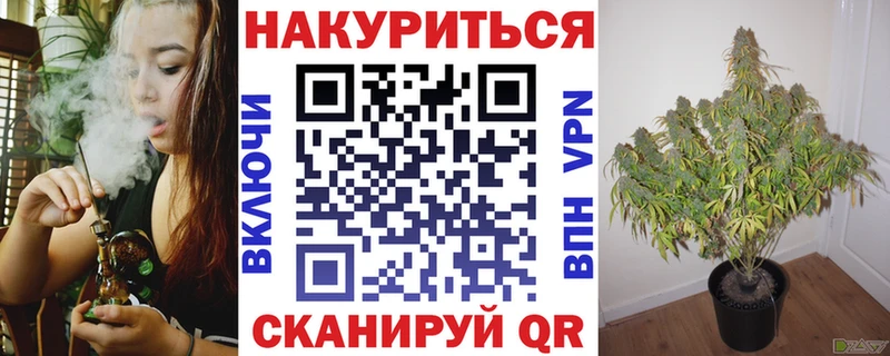 МАРИХУАНА планчик Купить Медногорск
